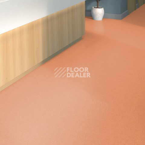 Tarkett iq Melodia 2635 фото 2 | FLOORDEALER
